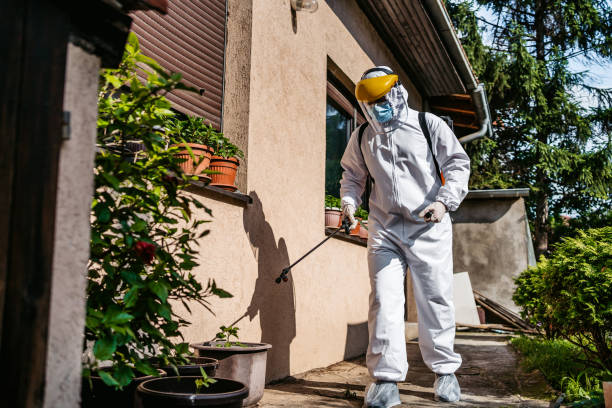 Best Pest Prevention Services  in Leeds, AL