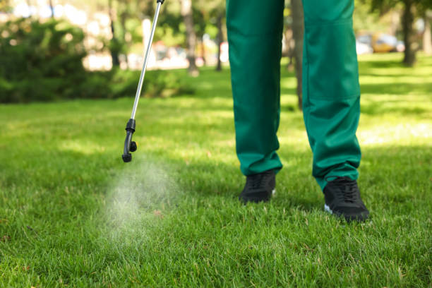 Best Pest Inspection Near Me  in Leeds, AL