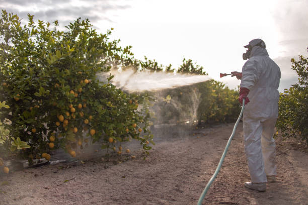 Reliable Leeds, AL Pest Control Solutions