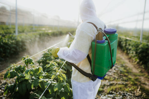  Leeds, AL Pest Control Pros